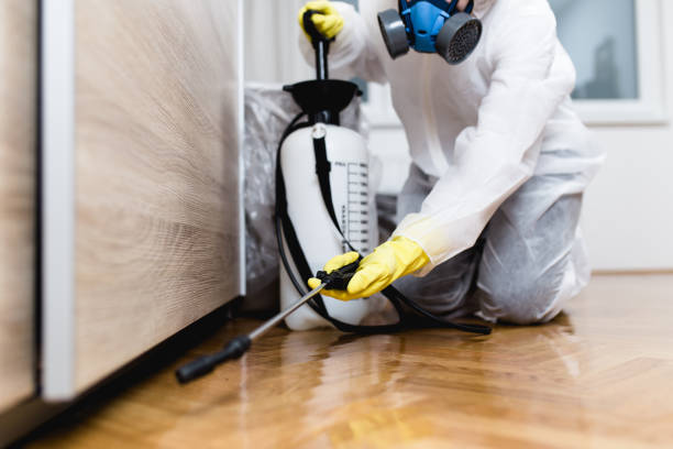 Pest Control Cost in Lone Pine, CA