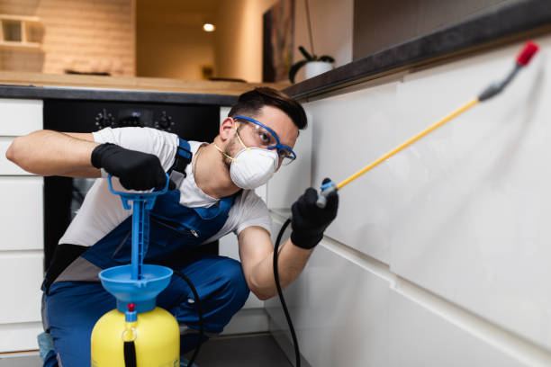 Flea Control Services in Lone Pine, CA