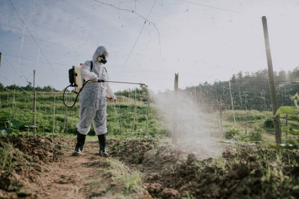 Best Commercial Pest Control Services  in Lone Pine, CA