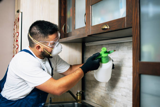 Best Pest Control Near Me in Lone Pine, CA