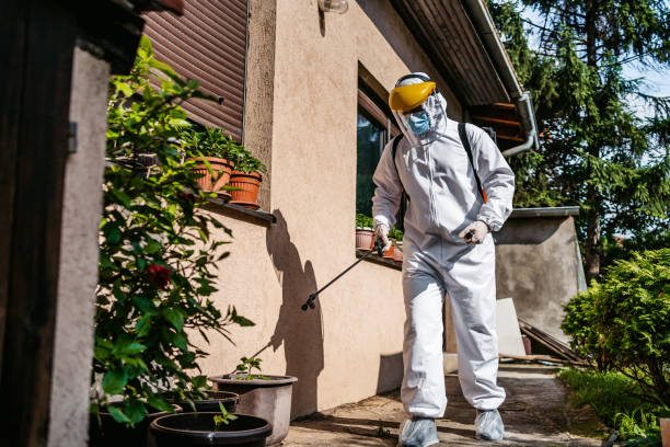 Best Termite Control Services  in Lone Pine, CA