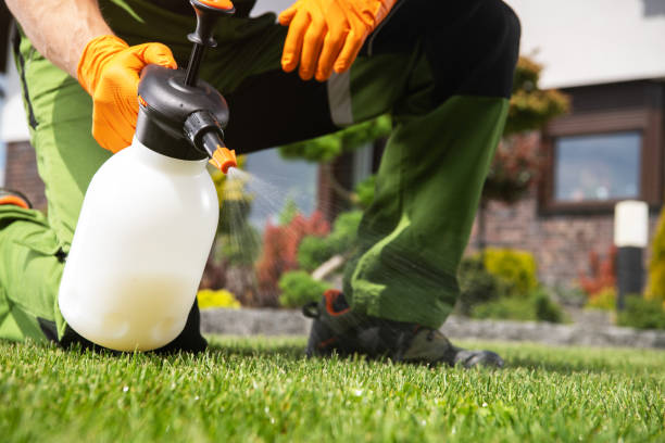 Pest Control for Restaurants in Lone Pine, CA