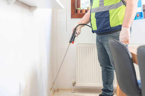 Best Ant Control Services  in Lone Pine, CA