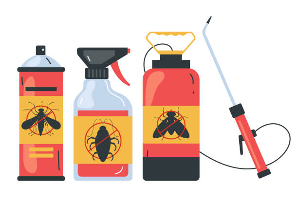 Best Local Pest Control Services  in Lone Pine, CA